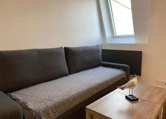 アパート Centre A 50m De La - Ancv Accepte *