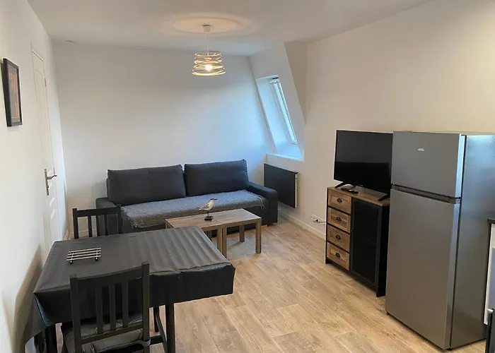 アパート Centre A 50m De La - Ancv Accepte *